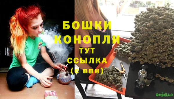 дживик Беломорск