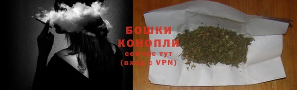 дживик Беломорск