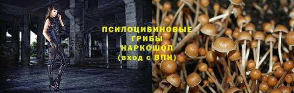дживик Беломорск