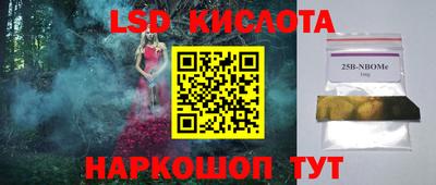 крисы Камышлов