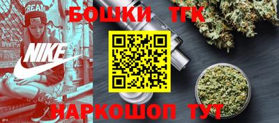 крисы Камышлов
