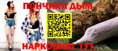 крисы Камышлов