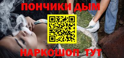 крисы Камышлов
