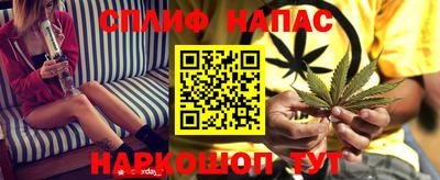 крисы Камышлов