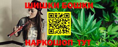 крисы Камышлов