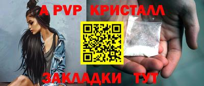 крисы Камышлов