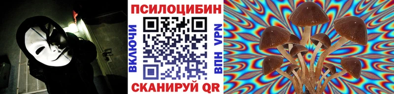 маркетплейс официальный сайт  Кушва  Галлюциногенные грибы Psilocybe 
