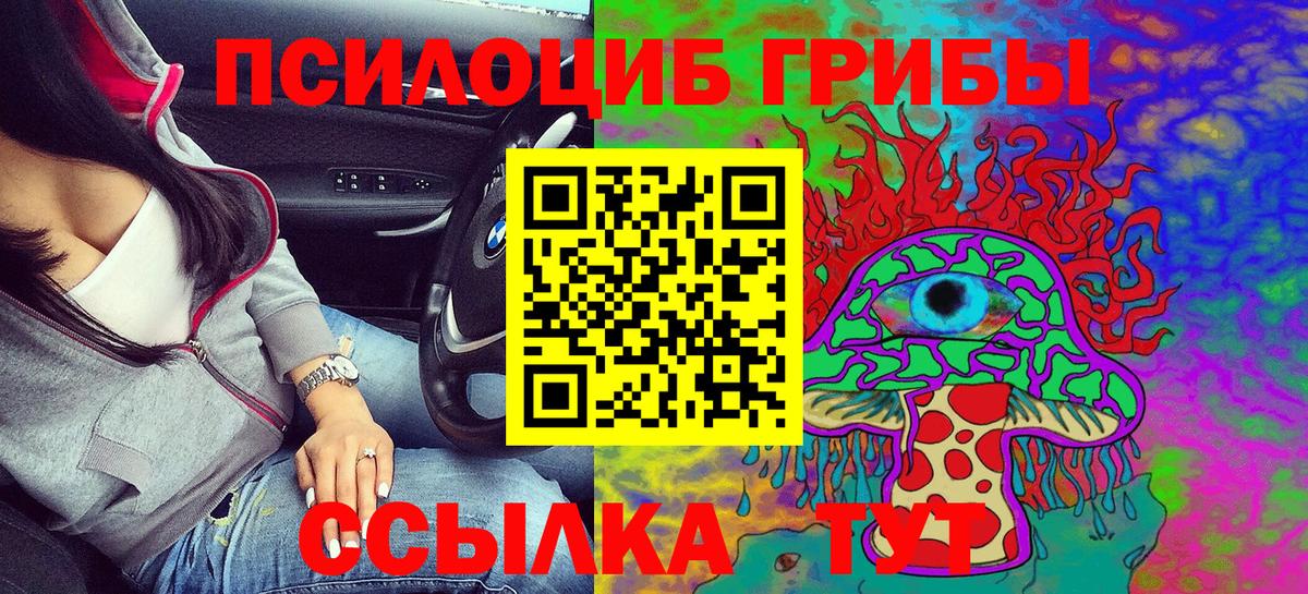 Кушва  Галлюциногенные грибы Psilocybe  Вход с VPN 