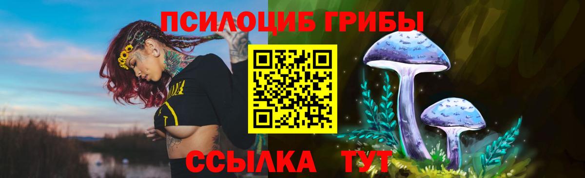 Псилоцибиновые грибы Psilocybine cubensis Кушва